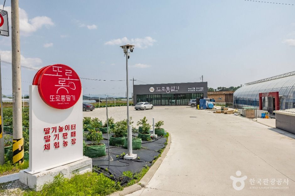 thumbnail-또로롱딸기-3