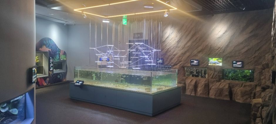 단양 다누리아쿠아리움