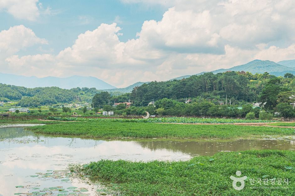 불고기 팜 농어촌 테마공원