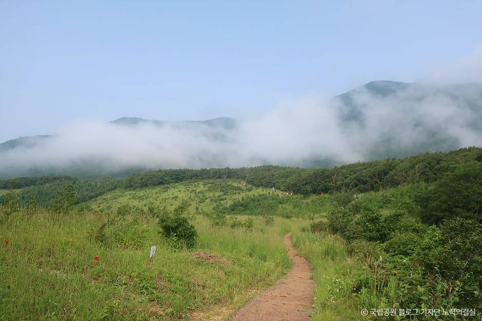 오대산국립공원