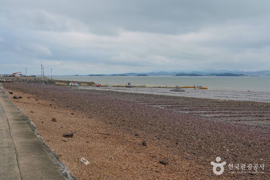 thumbnail-내포항-5