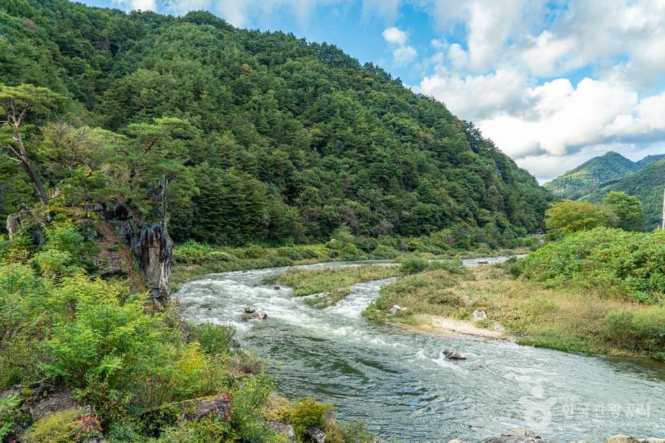 평창_봉황둘레길 (5)