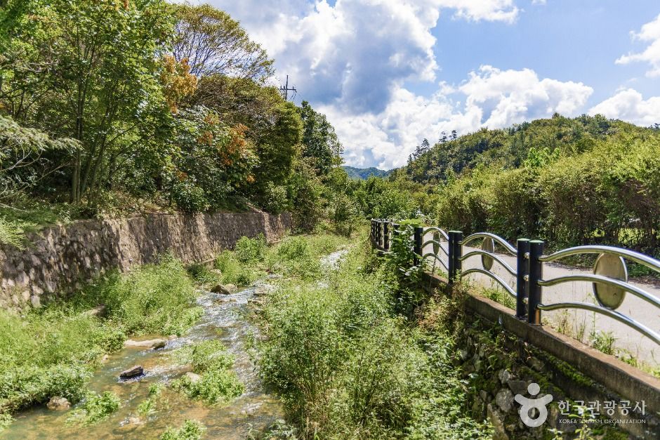 금산_조팝꽃피는마을 (5)