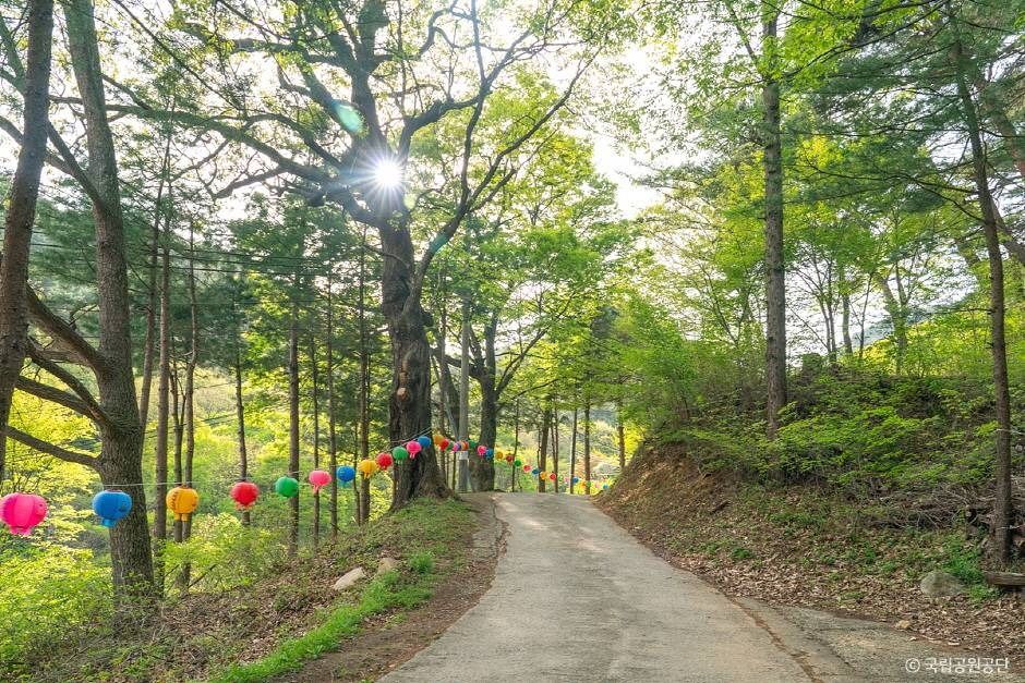 thumbnail-파계사-24