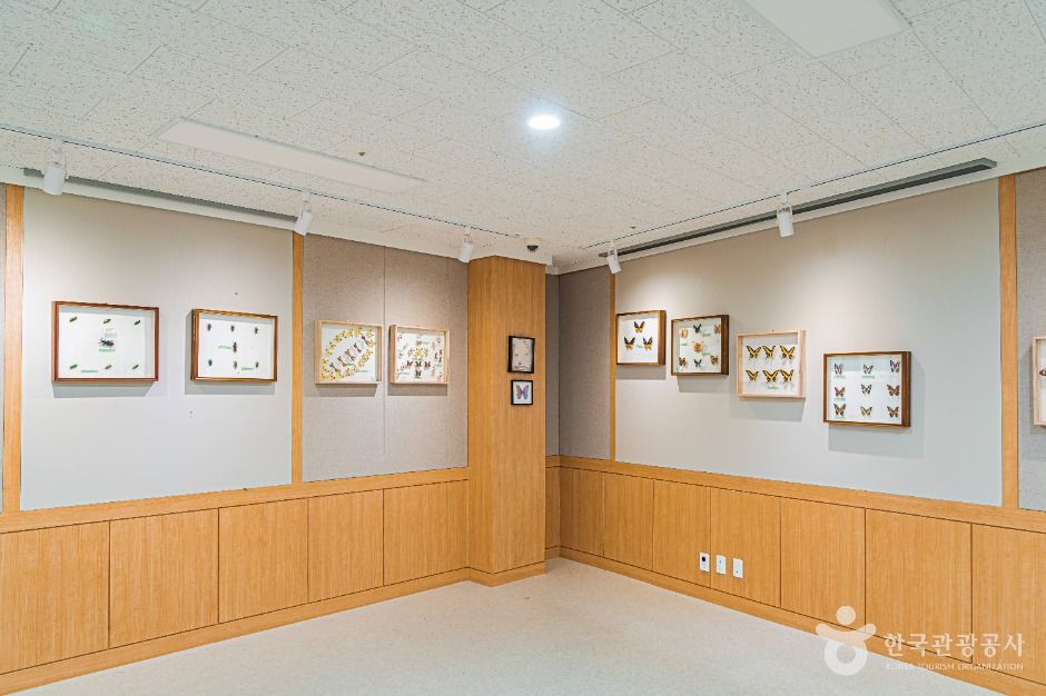 땅끝해양자연사박물관