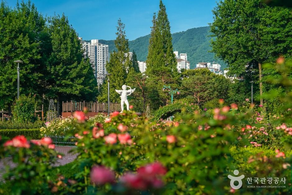 thumbnail-장미공원(창원)-2