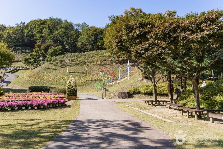 용인_용인농촌테마파크 (3)