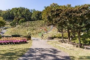 용인_용인농촌테마파크 (3)