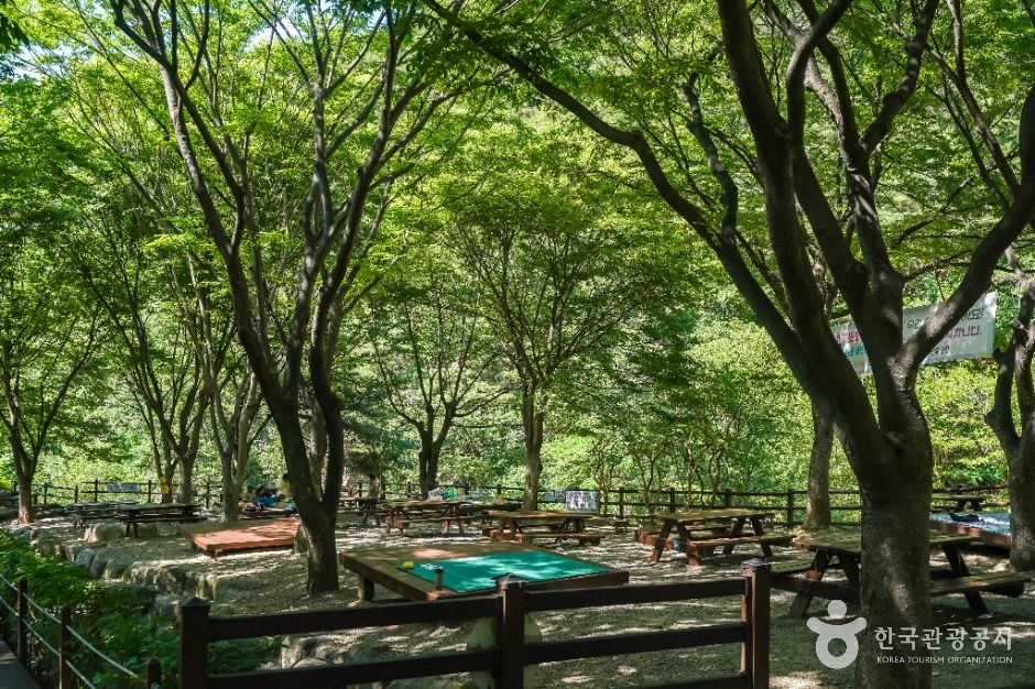 thumbnail-화원자연휴양림-3