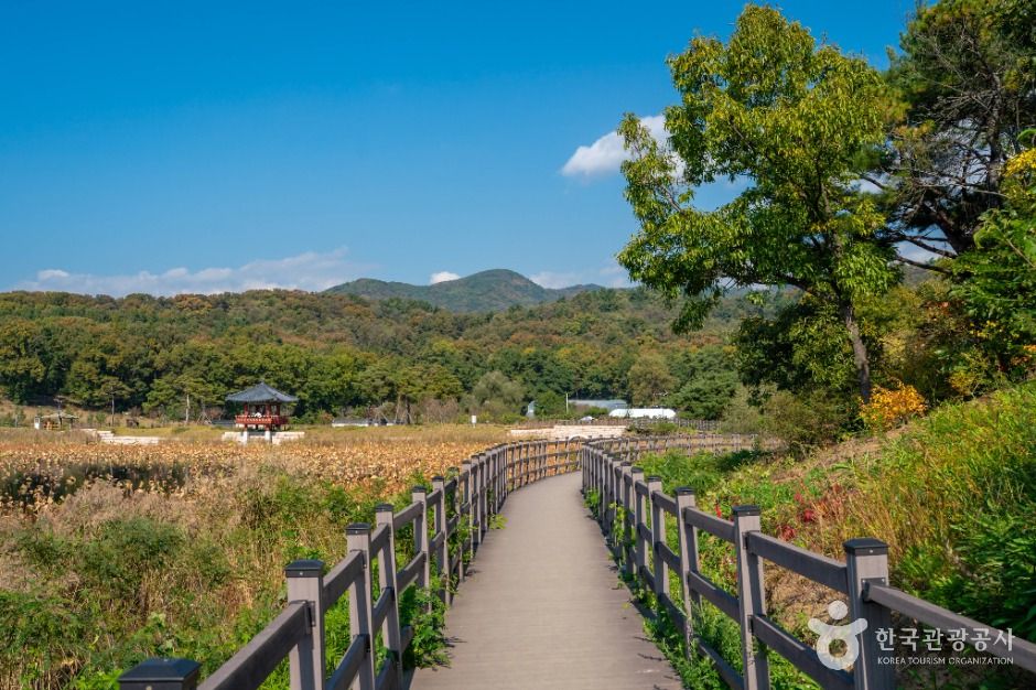 나불지 생태공원