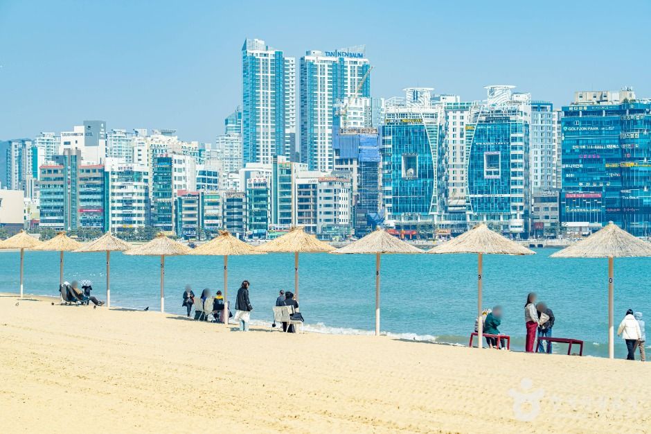 부산_[부산 갈맷길] 2코스 2구간 (9)