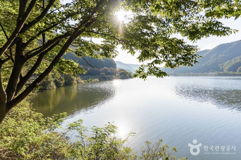음성_사정저수지 (7)