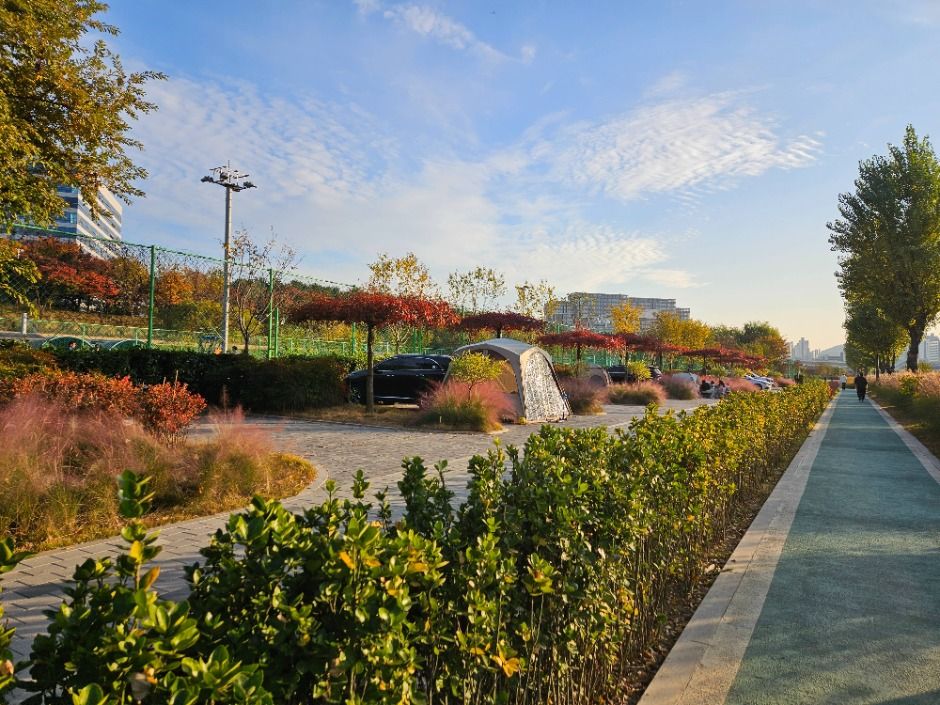 서울_서울 구로 피크닉 가든 (5)