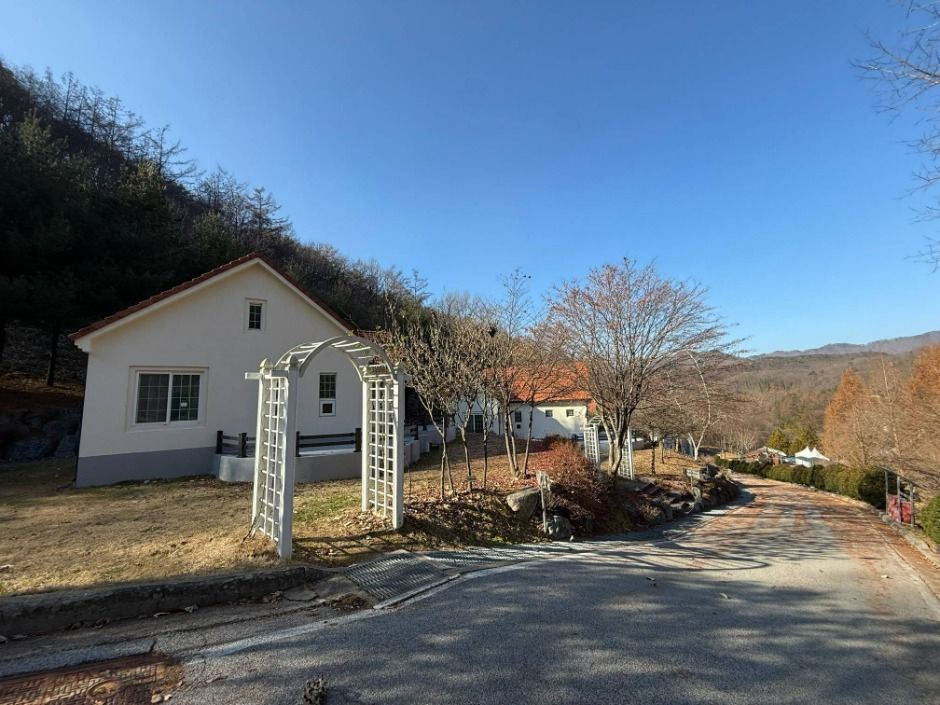 thumbnail-충북알프스자연휴양림-5