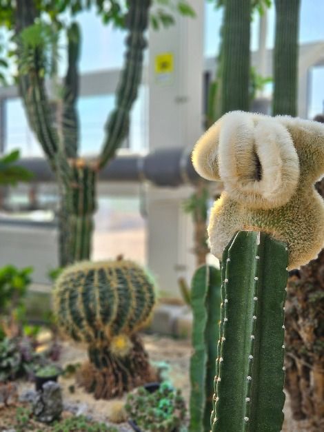 제천_아열대 스마트 온실 (5)