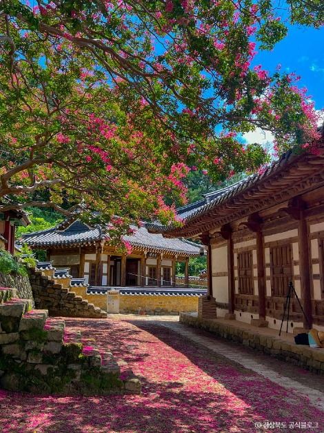 도암서원(고령)