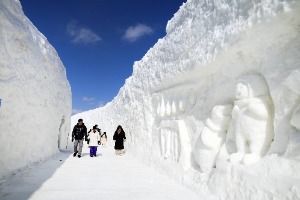 2026 대관령눈꽃축제 3