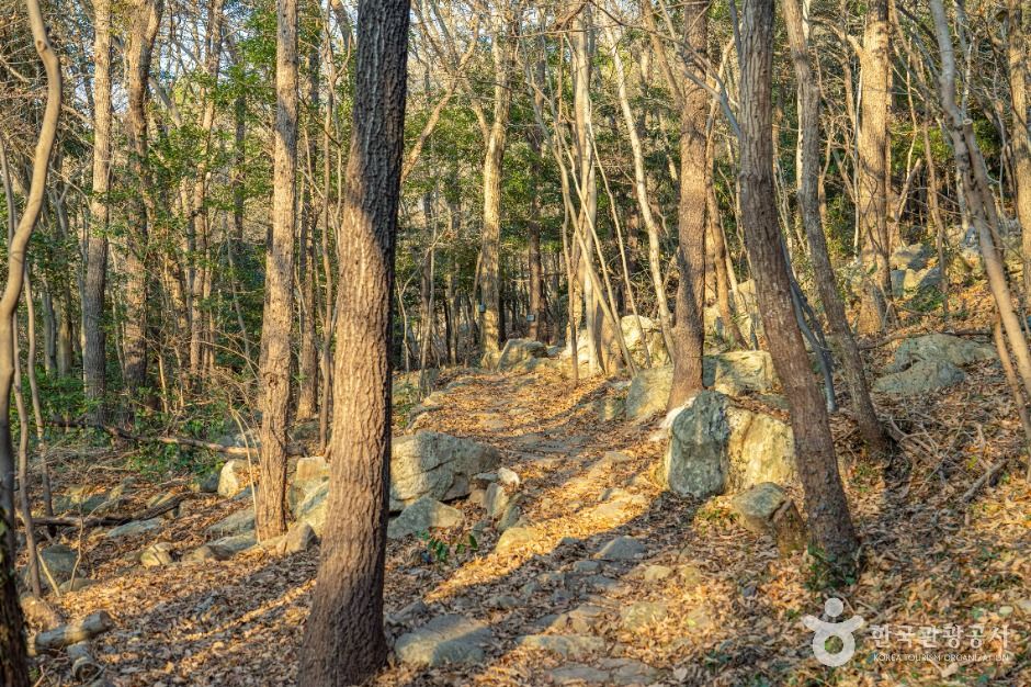 해남_달마고도 (5)