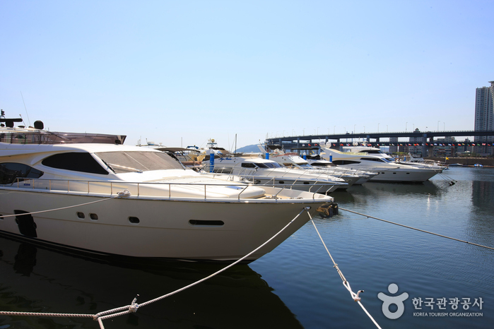 Suyeongman Bay Yachting Center (수영만 요트경기장)