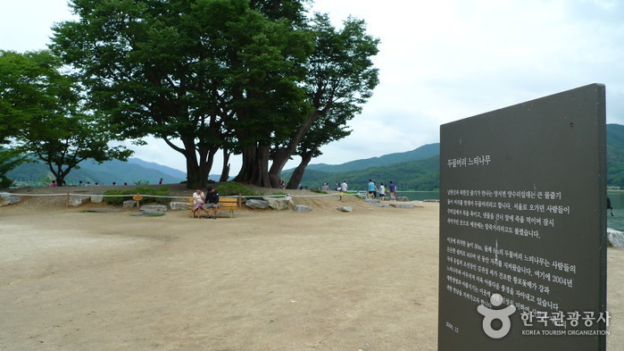 양평 두물머리 사진12