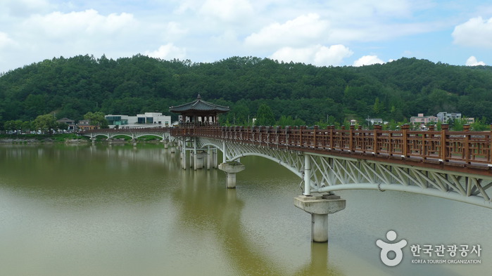 Brücke Woryeonggyo (월영교)6