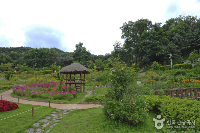 Parc de loisirs agricole de Yongin (용인농촌테마파크)