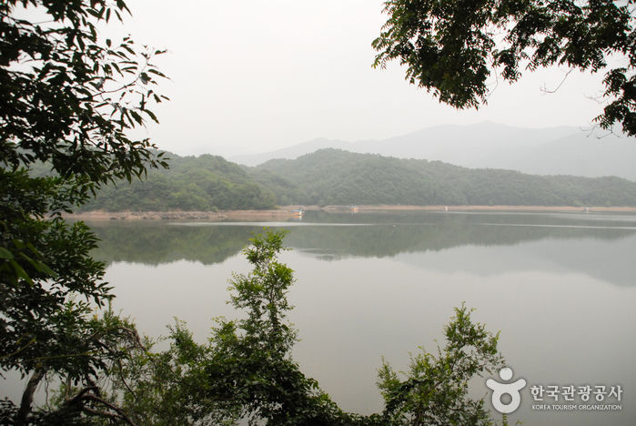 Chopyeong Reservoir (초평저수지)