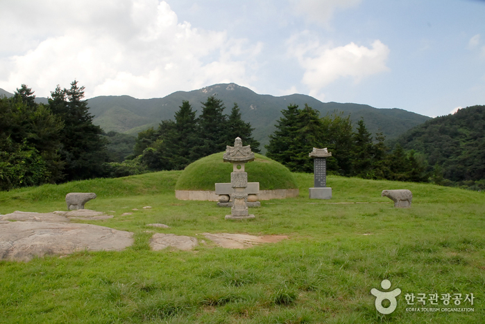남연군의묘 사진6