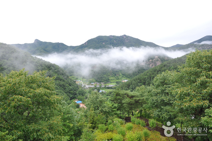 Arboretum de Daea (대아수목원)7