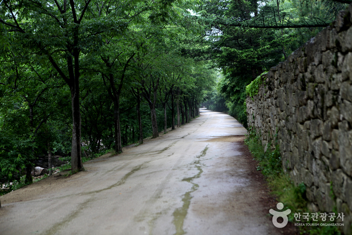 문경새재도립공원 사진27