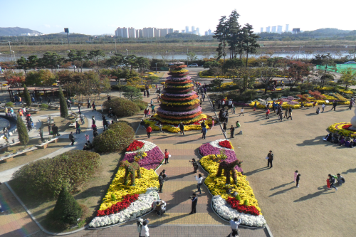 인천 드림파크국화축제 2014