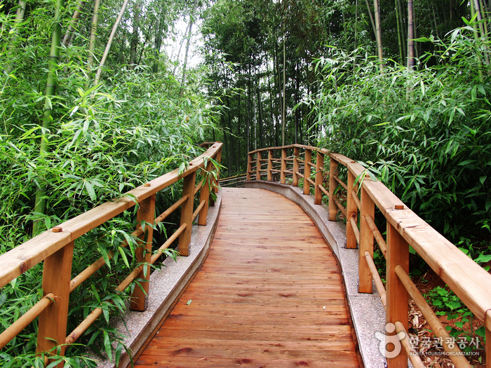 Jardín del Bambú Juknokwon (죽녹원)