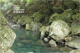 Donnaeko Resort (돈내코유원지)