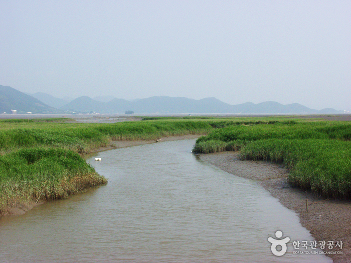 [전남 순천] 당일 시티투어코스 (A)