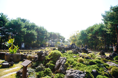 세미원 사진9