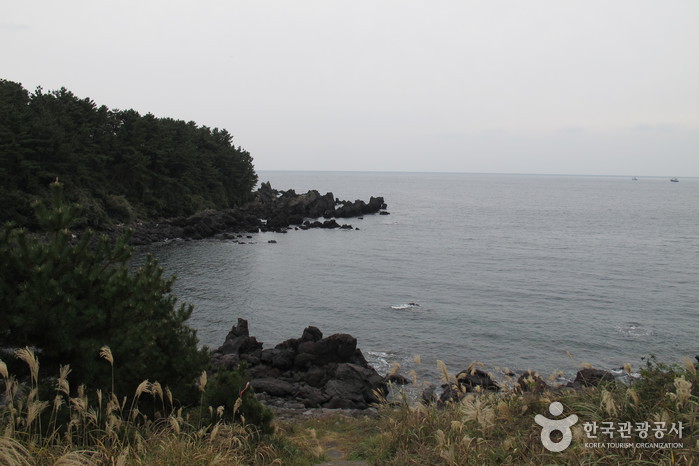 [제주올레 6코스] 쇠소깍-서귀포 올레4