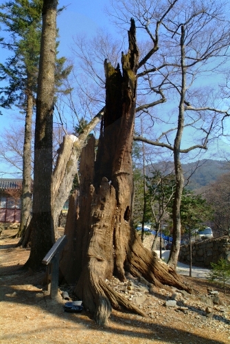 Haeinsa Temple (해인사)