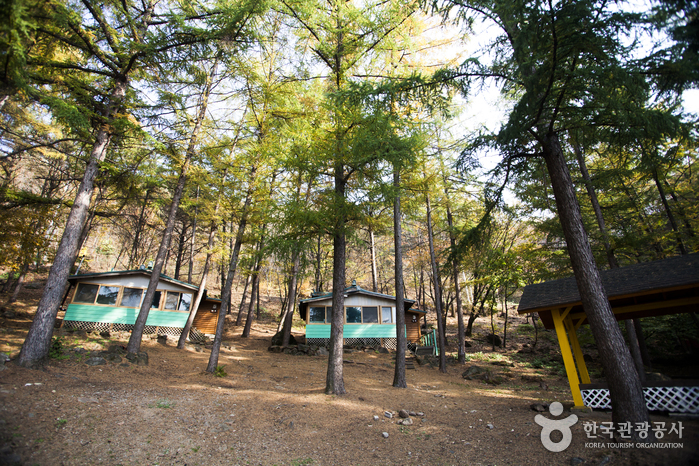 Seolmaejae Recreational Forest (설매재자연휴양림)