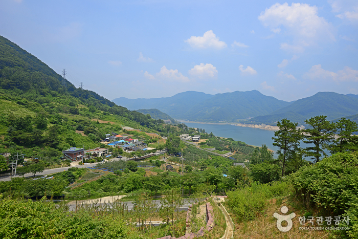 Área de Acampe del Bosque Recreativo del Monte Gyemyeongsan (계명산 자연휴양림 캠핑장)