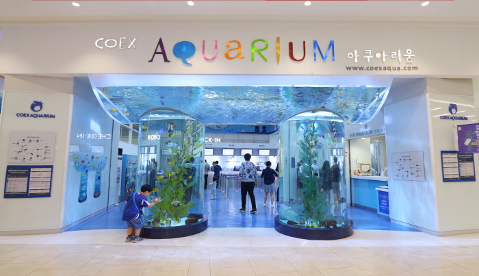 COEX水族館(코엑스 아쿠아리움)