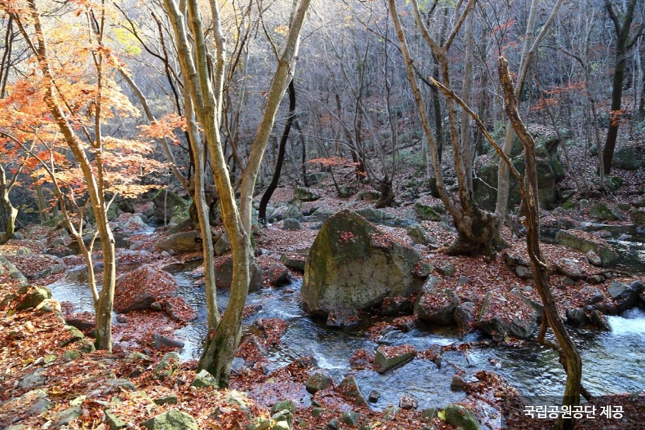 Naejangsan National Park (내장산국립공원)