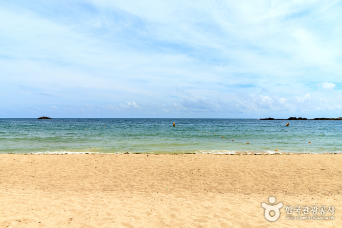 오도1리해수욕장3