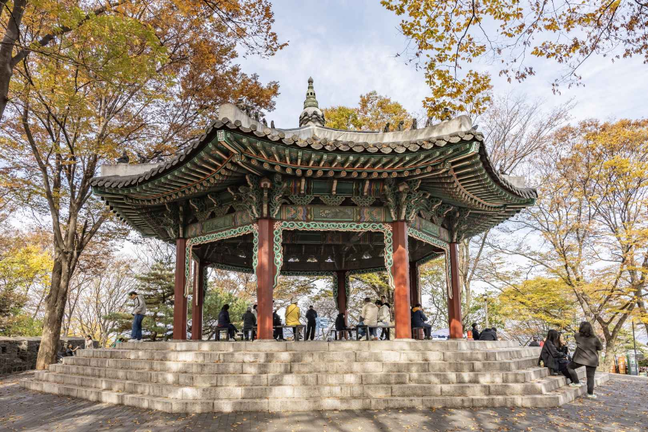 N Seoul Tower (남산서울타워)