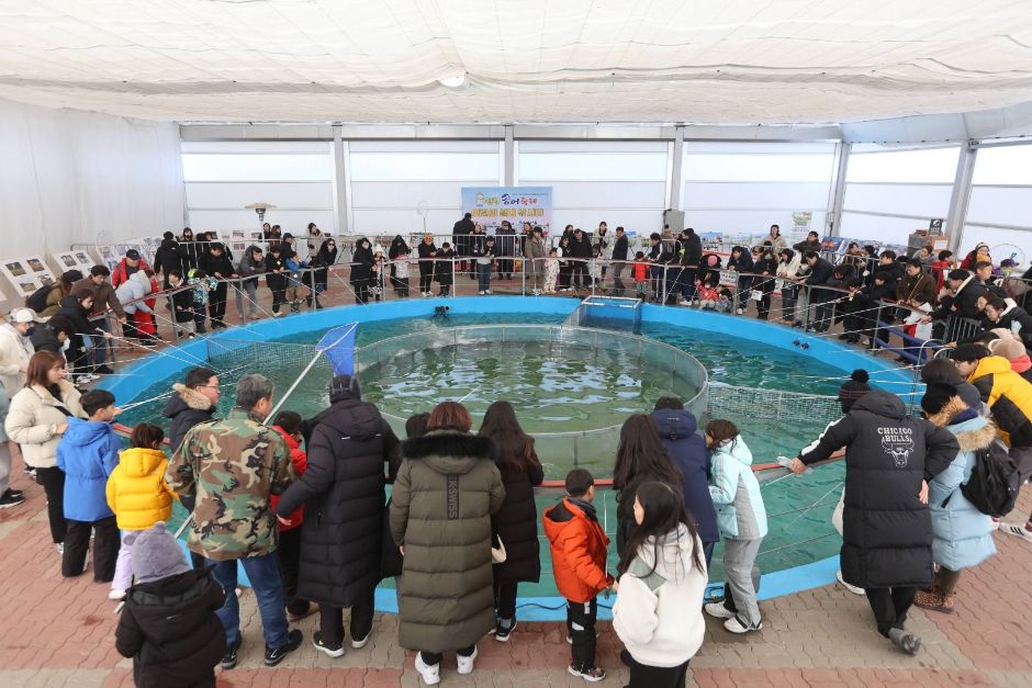 평창송어축제