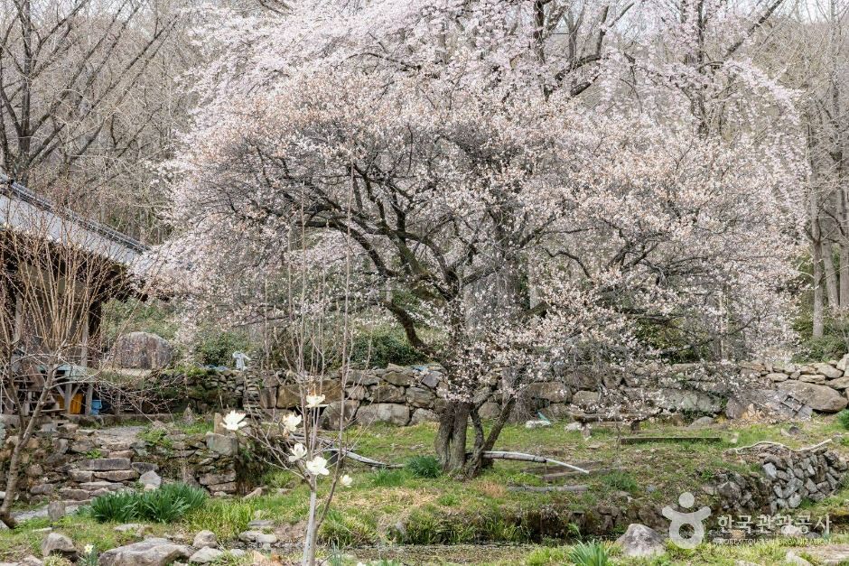 仙岩寺[ユネスコ世界遺産]（선암사 [유네스코 세계유산]）