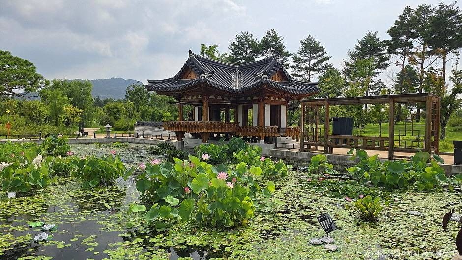 국립세종수목원