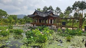 세종_국립세종수목원 (2)