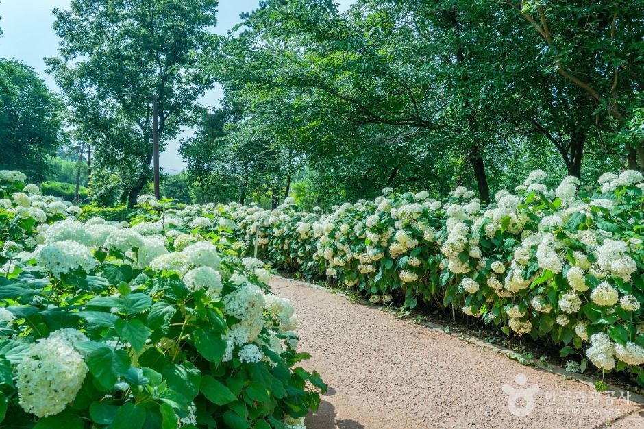 내리문화공원