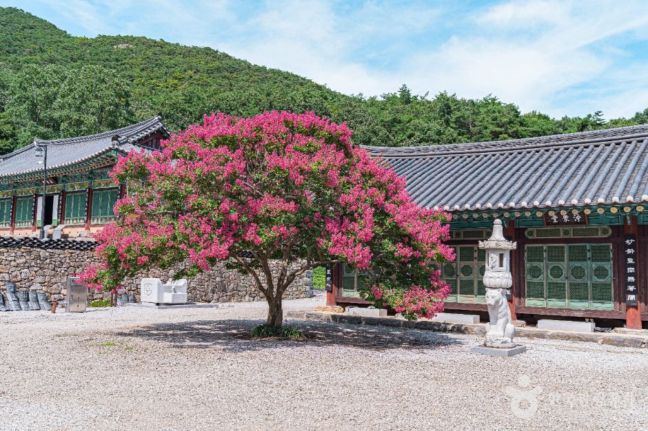 개암사
