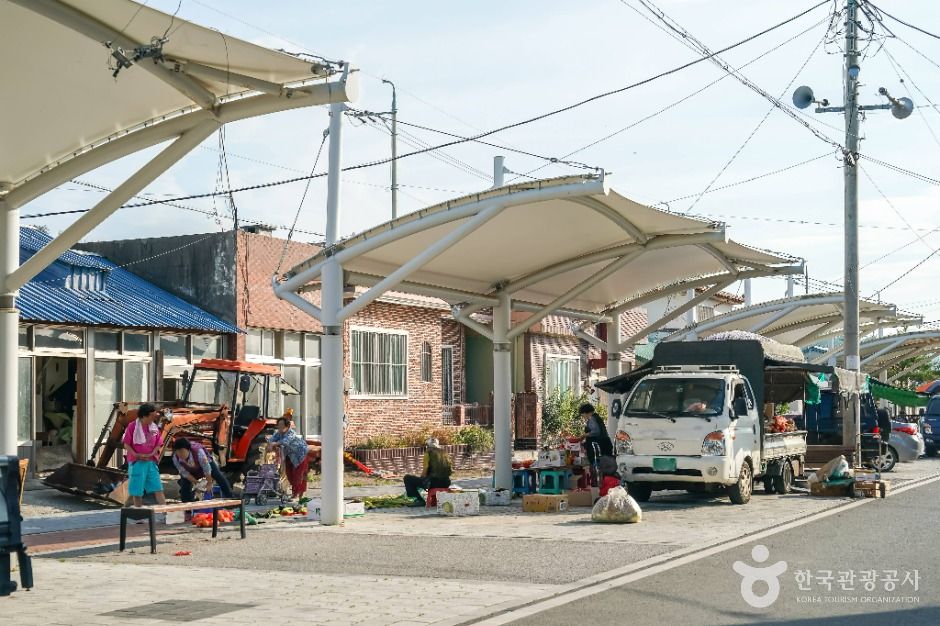 포항_장기장 (4, 9일) (5)